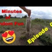 10 minutes of random fun videos by Gameznet Episode 01