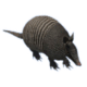 Armadillo-transaparent-gameznet-free-greenscreen-assets