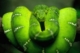 Green Snake