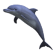 dolphin-transparent-background-gameznet-05