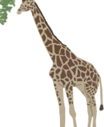 free-girafe-animated-gifs