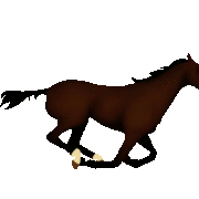 horse-animated-gifs-gameznet