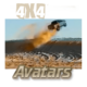 4x4 avatars