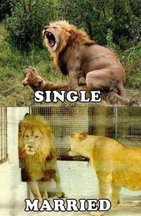 being-single-vs-being-married