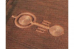 CROP_CIRCLE_02