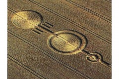 CROP_CIRCLE_04