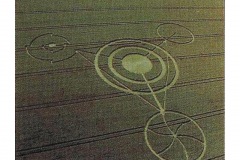 CROP_CIRCLE_06