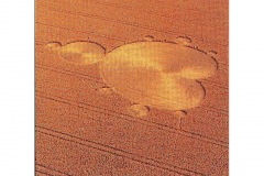 CROP_CIRCLE_07