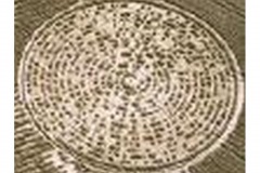 Crop_Circles-t0006