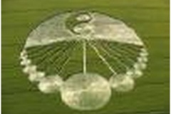 Crop_Circles-t0007