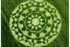 Crop_Circles-t0024