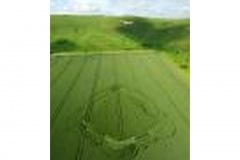 Crop_Circles-t0034