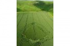 Crop_Circles-t0038