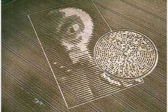 crabwood_crop_circle_2002_1