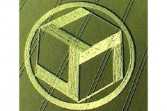 crop_circle_cube