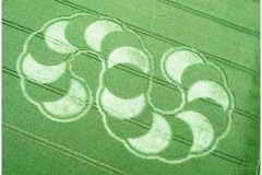 crop_circle_serpent_2007