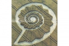 shell like crop circle wiltshire