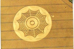 spiders web crop circle 2