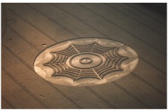 spiders web crop circle