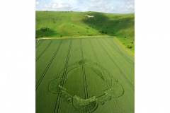 strange_Crop_Circle