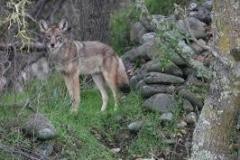 Unknown-1