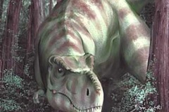 T Rex