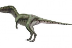 alioramus