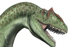 allosaurus