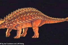ankylosaurus