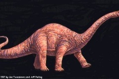 apatosaurus