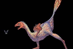 caudipteryx