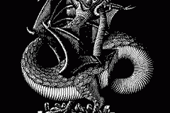dragon1