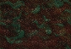 dragonskin