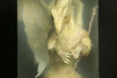 stored_dragon