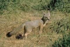 Unknown-2