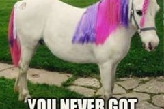 Ride-Me-Like-The-Pony-600x600