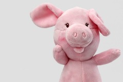 pig-4727097_960_720