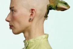 a person with a lizzard on their head on a white background