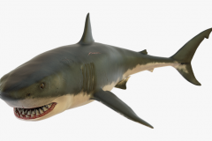 297-2976978_shark-fish-sea-ocean-fishing-bait-design-ralok