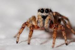 Unknown-1