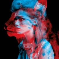 105998-women-3D-animals-red-blue-anaglyph_3D-748×1047 