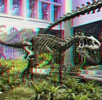 3d-analglyph-wallpaper-gameznet-dinosaur-skeleton 