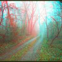 misty-country-road-use-red-cyan-filtered-3d-glasses-brian-wallace 