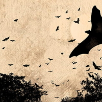 autumn-background-bats-old-thumbnail 