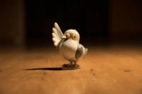 Bird 