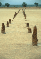 3d-wiggle-animated-gifs-gameznet-00009 