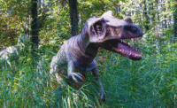 Dinosaur 