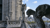 3d-wiggle-animated-gifs-gameznet-00024 