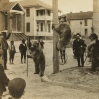3d-wiggle-animated-gifs-gameznet-00041 