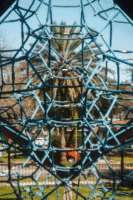 At the Park 